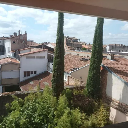 Apartment Le Stella - Metro A 300m - Saint-georges / Dupuy *